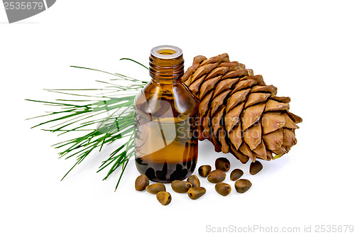 Image of Oil with cedar cone and nuts