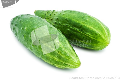 Image of Fresh cucumber