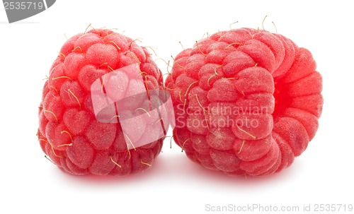 Image of Fresh raspberries