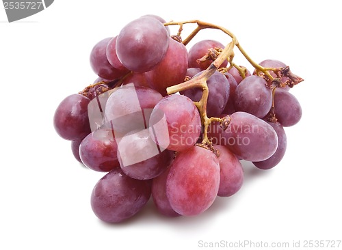 Image of Grapes