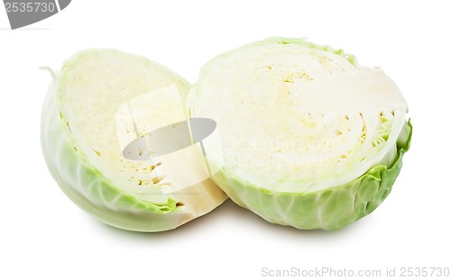 Image of Cabbage