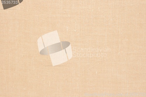 Image of Canvas background