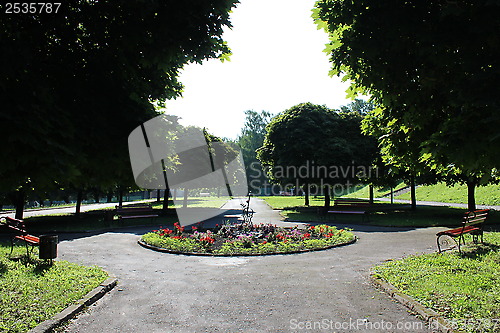 Image of Beautiful park with many green trees in Lvov