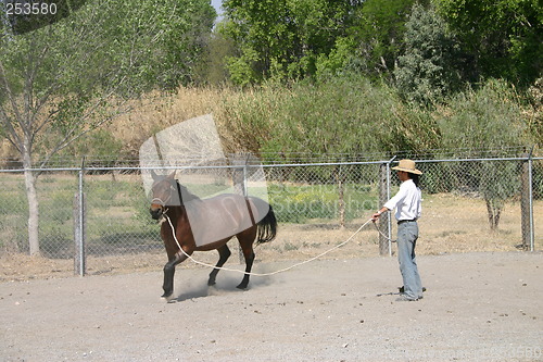 Image of Man training a horse