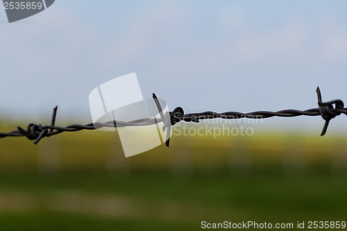 Image of barbed wire