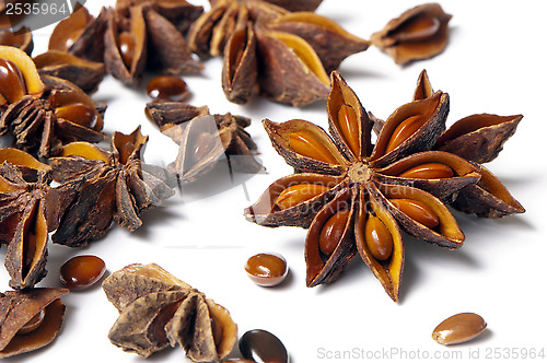 Image of Star anise