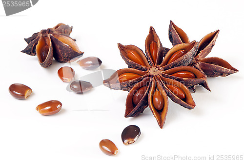 Image of Star anise, star aniseed, or Chinese star anise