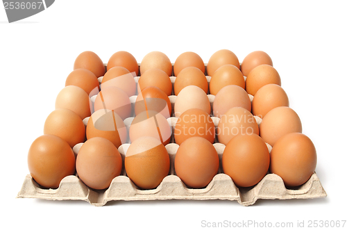 Image of Eggs