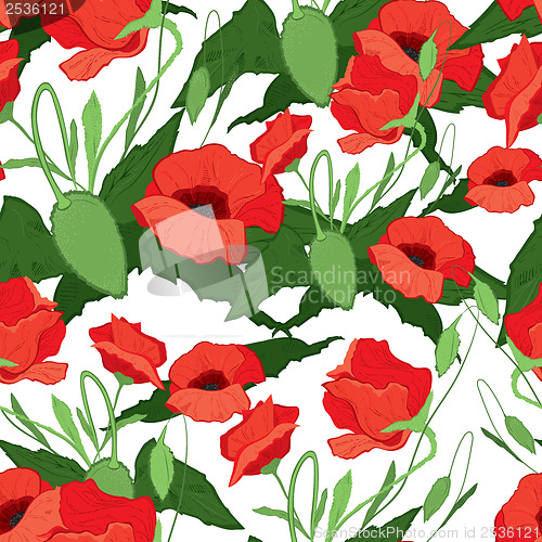 Image of Red poppies seamless vector