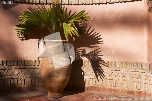 Image of Garden urn with palm leaves