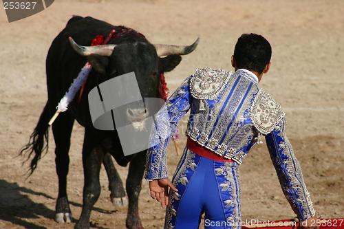 Image of Young bullfighter