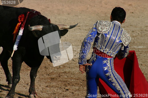 Image of Young bullfighter