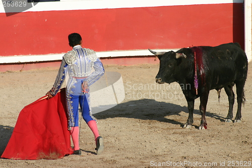 Image of Young bullfighter