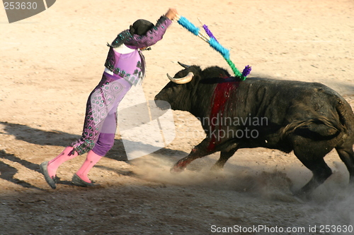 Image of Banderillero