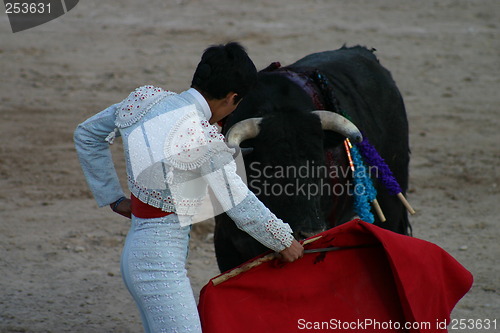 Image of Young bullfighter