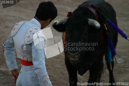 Image of Young bullfighter