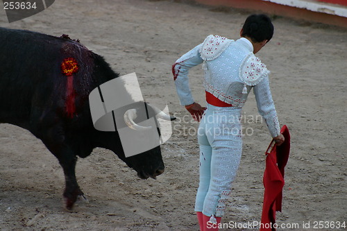 Image of Young bullfighter