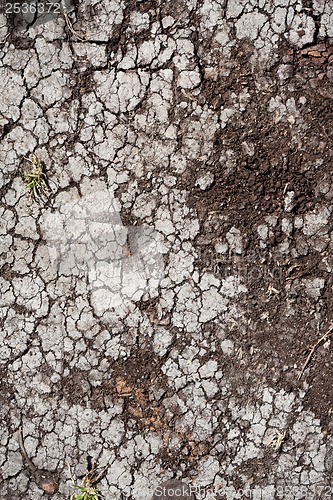 Image of Dry land