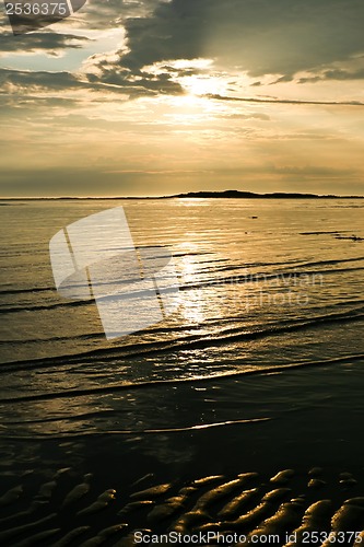 Image of Sea sunset