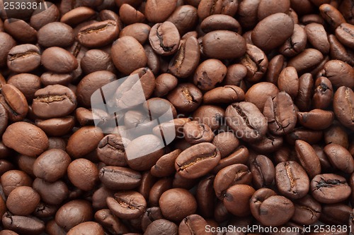 Image of Coffee beans