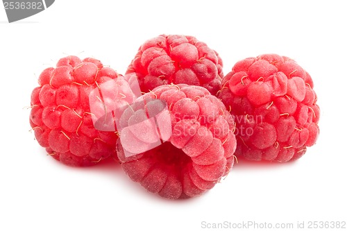 Image of Fresh raspberries