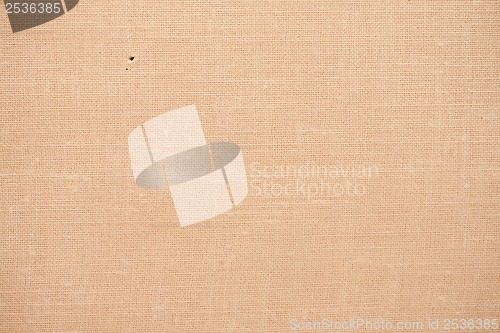 Image of Canvas background