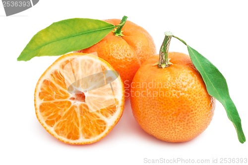 Image of Tangerines