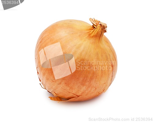 Image of Onion