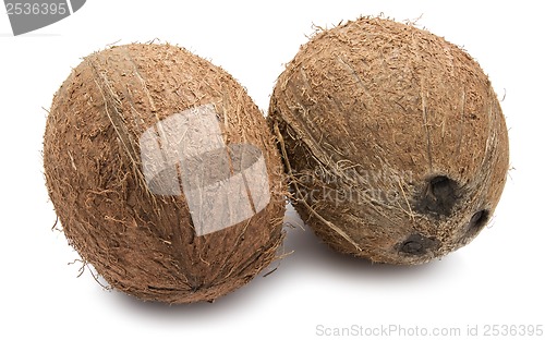 Image of Coconut