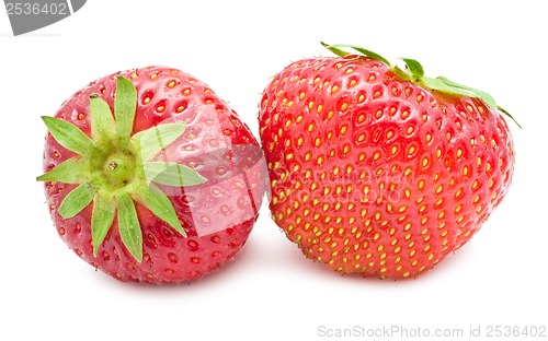 Image of Strawberry