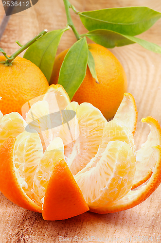 Image of Tangerine with Segments