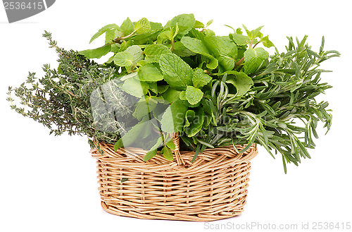 Image of Herbs in Basket