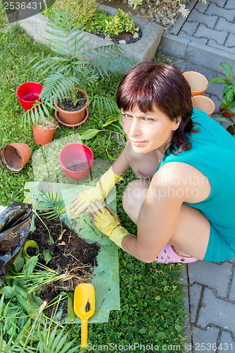 Image of happy smiling middle age woman gardening