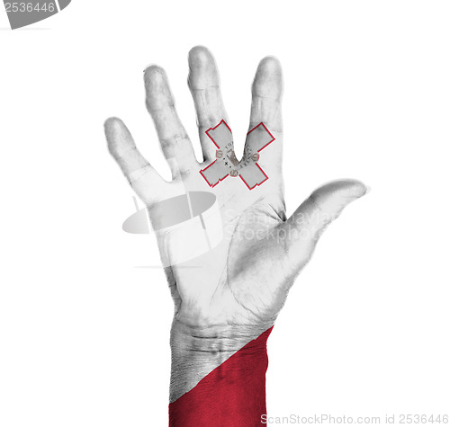 Image of Palm of a woman hand, painted with flag