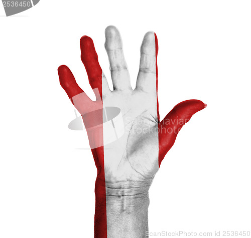 Image of Palm of a woman hand, painted with flag