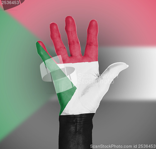 Image of Palm of a woman hand, painted with flag