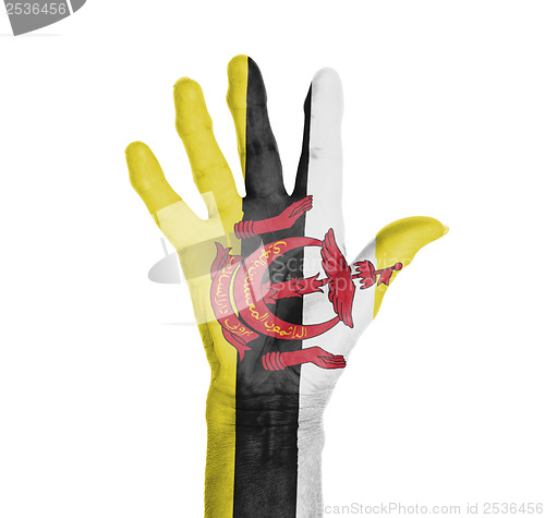 Image of Palm of a woman hand, painted with flag