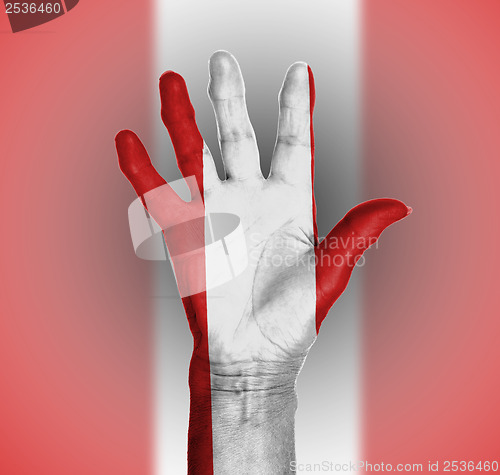 Image of Palm of a woman hand, painted with flag