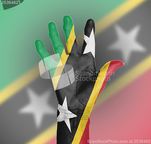 Image of Palm of a woman hand, painted with flag