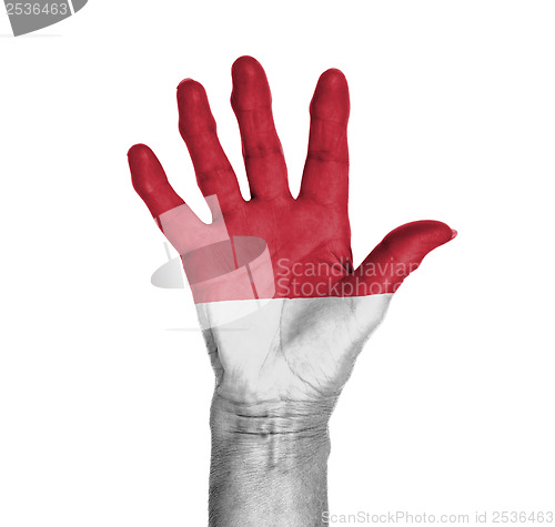 Image of Palm of a woman hand, painted with flag