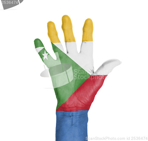 Image of Palm of a woman hand, painted with flag