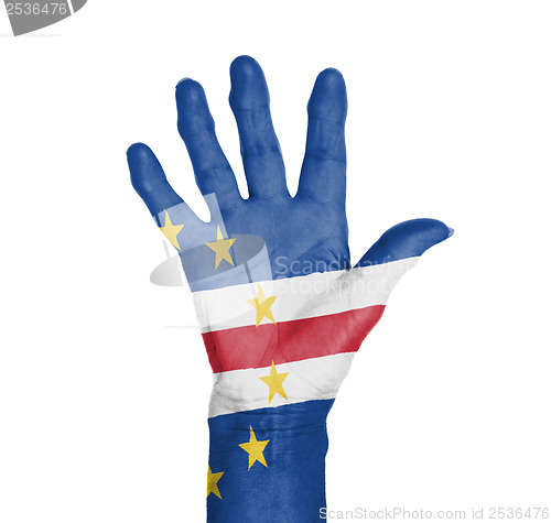 Image of Palm of a woman hand, painted with flag