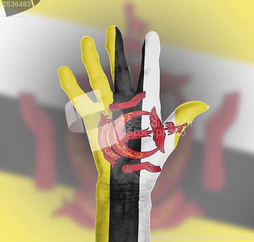 Image of Palm of a woman hand, painted with flag