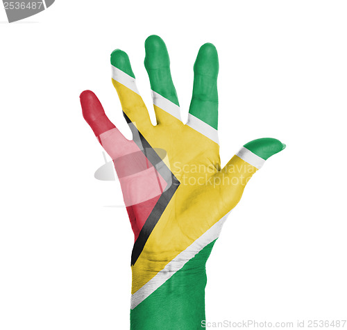 Image of Palm of a woman hand, painted with flag