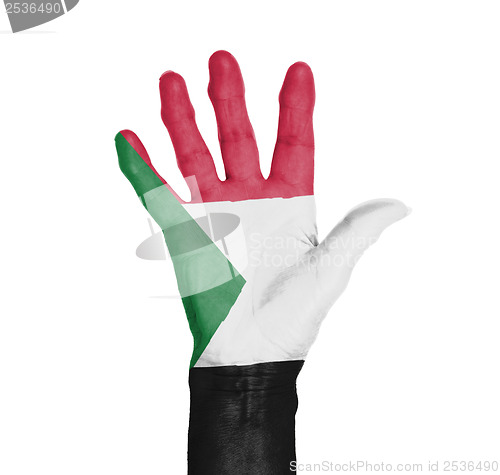 Image of Palm of a woman hand, painted with flag