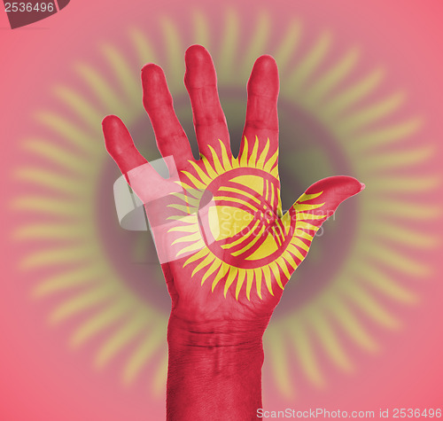 Image of Palm of a woman hand, painted with flag