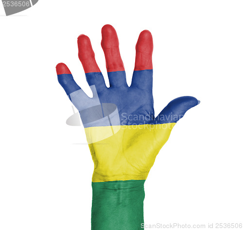 Image of Palm of a woman hand, painted with flag