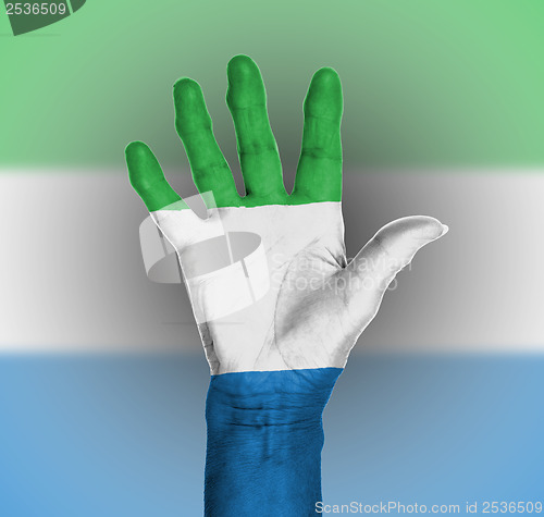 Image of Palm of a woman hand, painted with flag