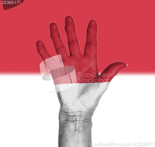 Image of Palm of a woman hand, painted with flag