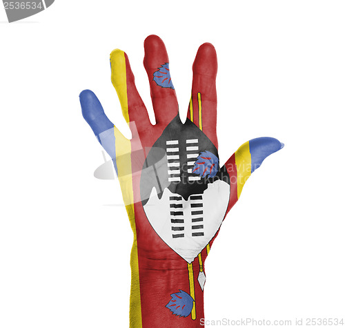 Image of Palm of a woman hand, painted with flag